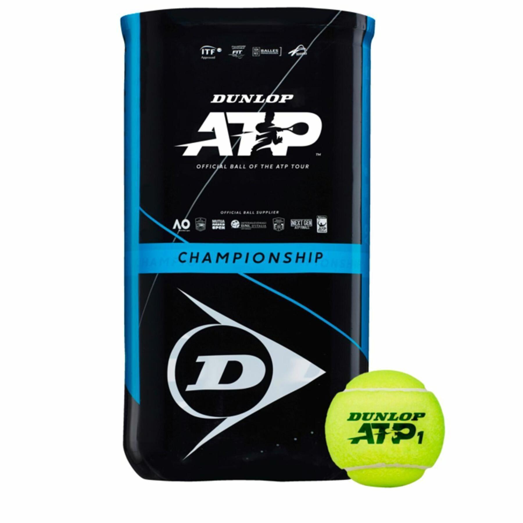Set di 2 tubi di 4 palle da tennis Dunlop atp championship