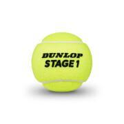Set di 3 palle da tennis Dunlop stage 1