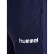Pantaloni sportivi Hummel Motion Co