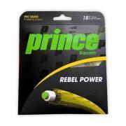 Fili di zucca Prince Rebel Power