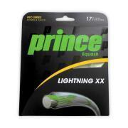 Fili di zucca Prince Lightning XX