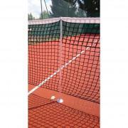 Paletti di sostegno del tennis per il gioco in singolo Carrington