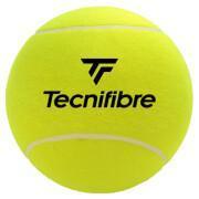 Palla da tennis grande Tecnifibre 12 cm