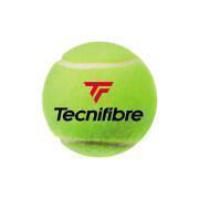 Set di 4 palline da tennis Tecnifibre X-one
